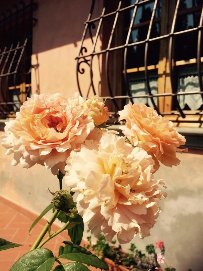 Rosso Del Chianti Bed & Breakfast Panzano in Chianti ภายนอก รูปภาพ