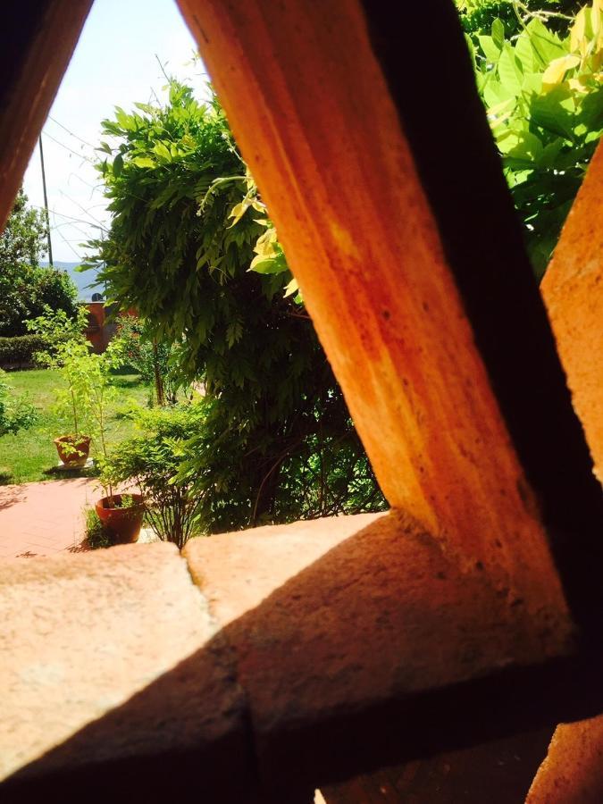 Rosso Del Chianti Bed & Breakfast Panzano in Chianti ภายนอก รูปภาพ