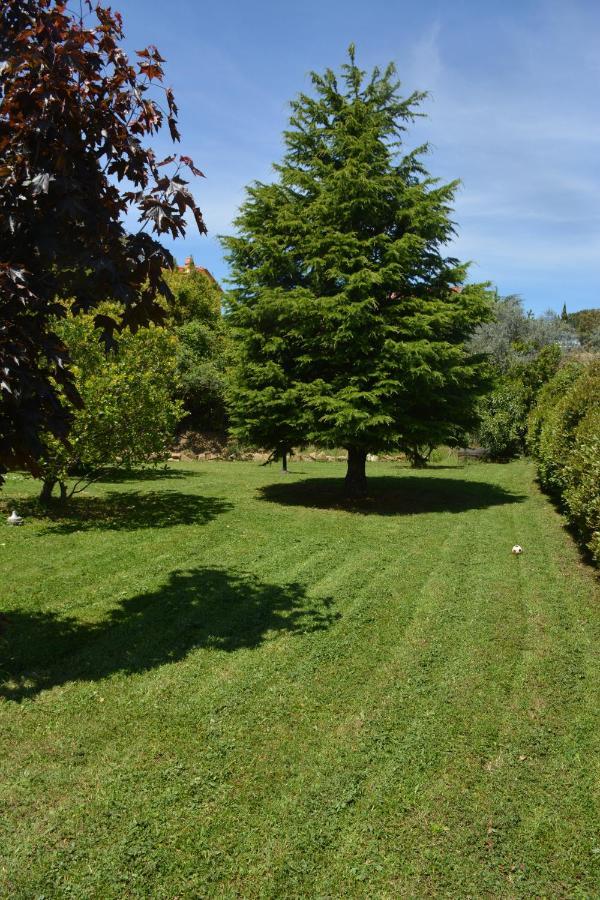 Rosso Del Chianti Bed & Breakfast Panzano in Chianti ภายนอก รูปภาพ