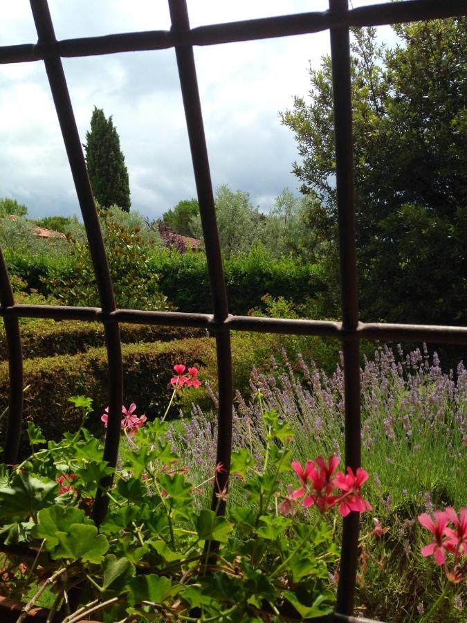 Rosso Del Chianti Bed & Breakfast Panzano in Chianti ภายนอก รูปภาพ